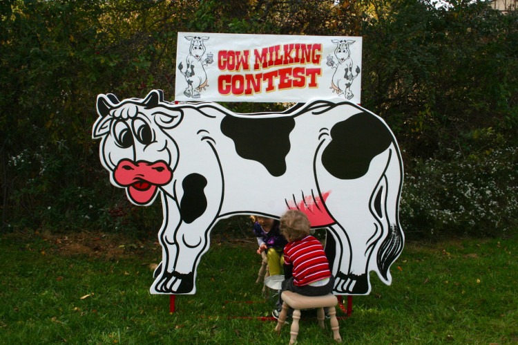 Milking Cow Contest