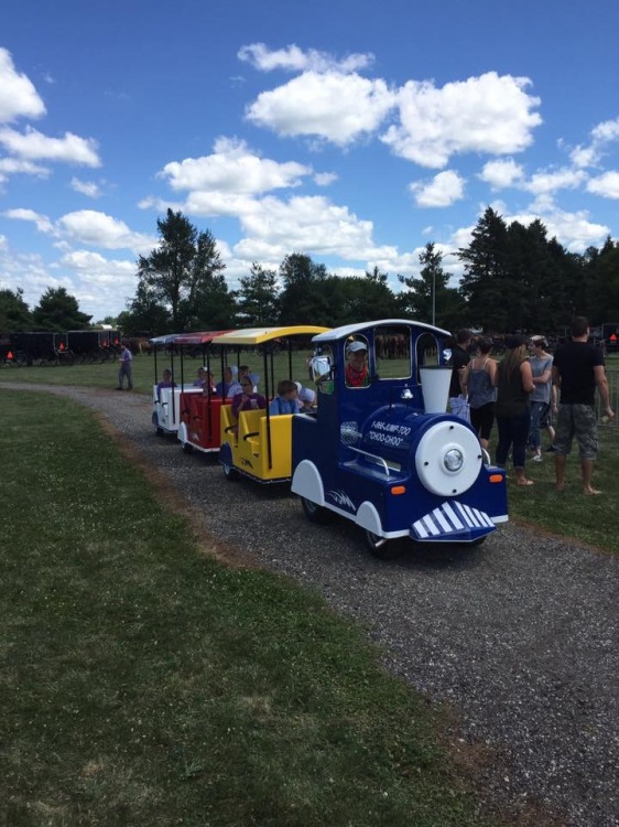 trackless train (gas)